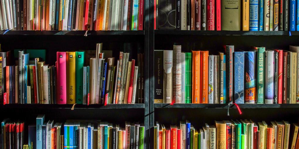 The Armchair Philosopher - Philosophical and Political exploration